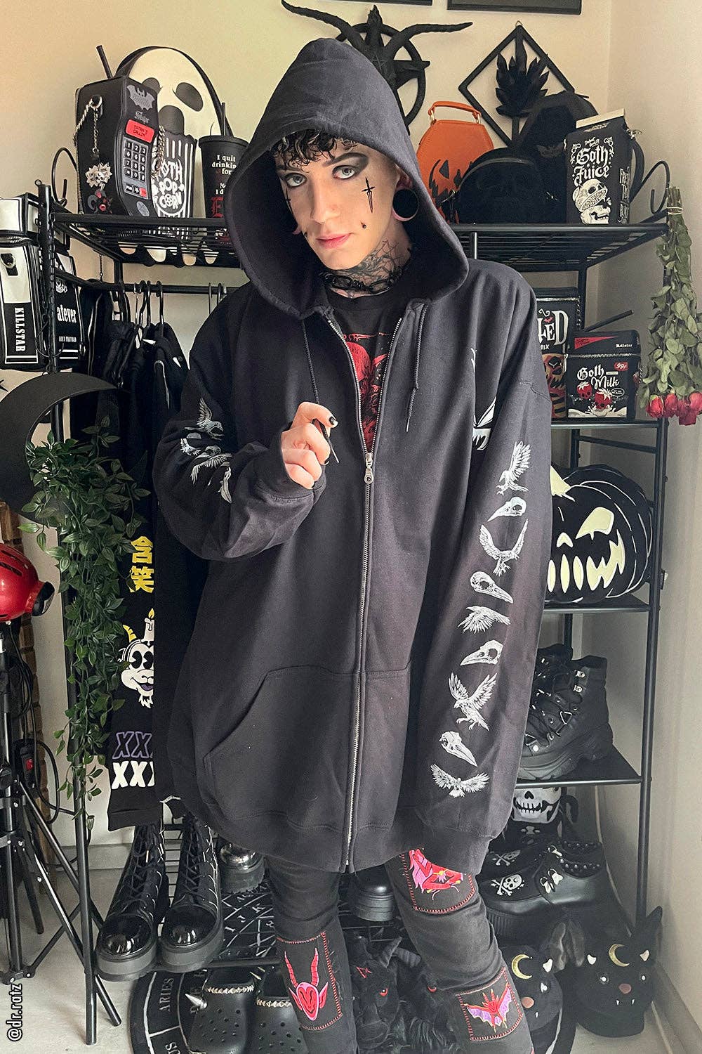 Edgar Allan Poe Zipper Hoodie
